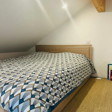 Buena Vista Villa Évian-les-Bains